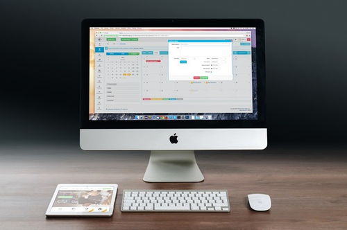 從概念到實施 深入解析App開發(fā)、定制開發(fā)與企業(yè)軟件構(gòu)建